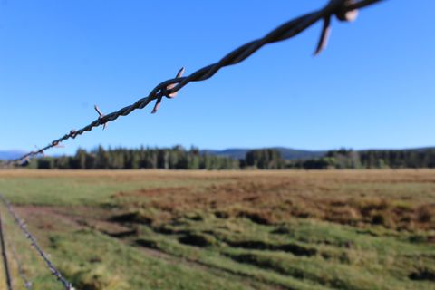 Tiny photo for 12046 Old Fort Road, Klamath Falls, OR 97601 (MLS # 220216669)