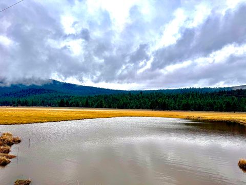 Tiny photo for 12046 Old Fort Road, Klamath Falls, OR 97601 (MLS # 220216669)