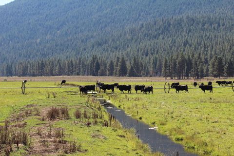 Tiny photo for 12046 Old Fort Road, Klamath Falls, OR 97601 (MLS # 220216669)