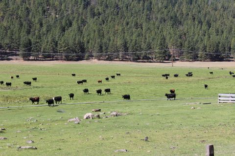 Tiny photo for 12046 Old Fort Road, Klamath Falls, OR 97601 (MLS # 220216669)