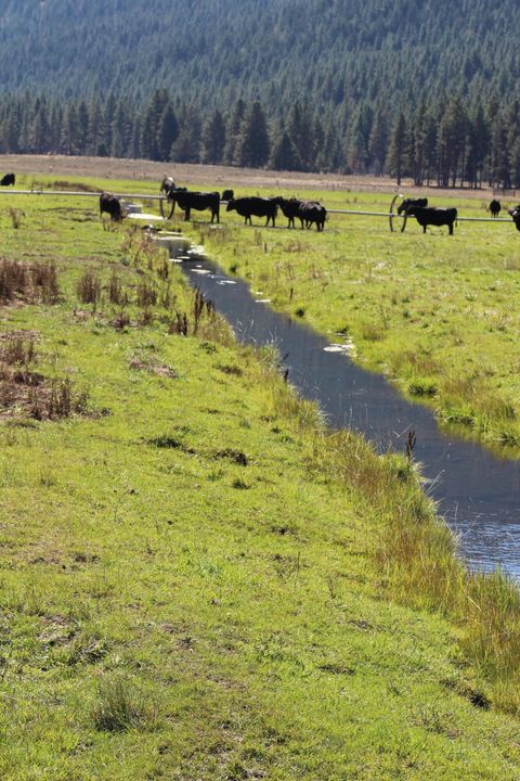 Tiny photo for 12046 Old Fort Road, Klamath Falls, OR 97601 (MLS # 220216669)