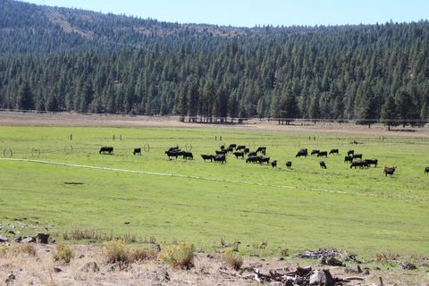 Tiny photo for 12046 Old Fort Road, Klamath Falls, OR 97601 (MLS # 220216669)