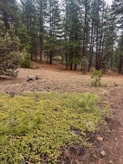 Tiny photo for 12046 Old Fort Road, Klamath Falls, OR 97601 (MLS # 220216669)