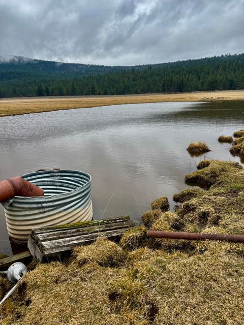 Tiny photo for 12046 Old Fort Road, Klamath Falls, OR 97601 (MLS # 220216669)