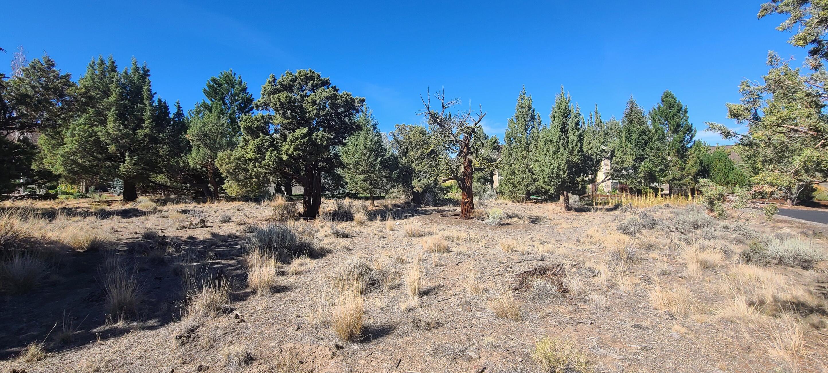 Ridge At Eagle Crest - Land