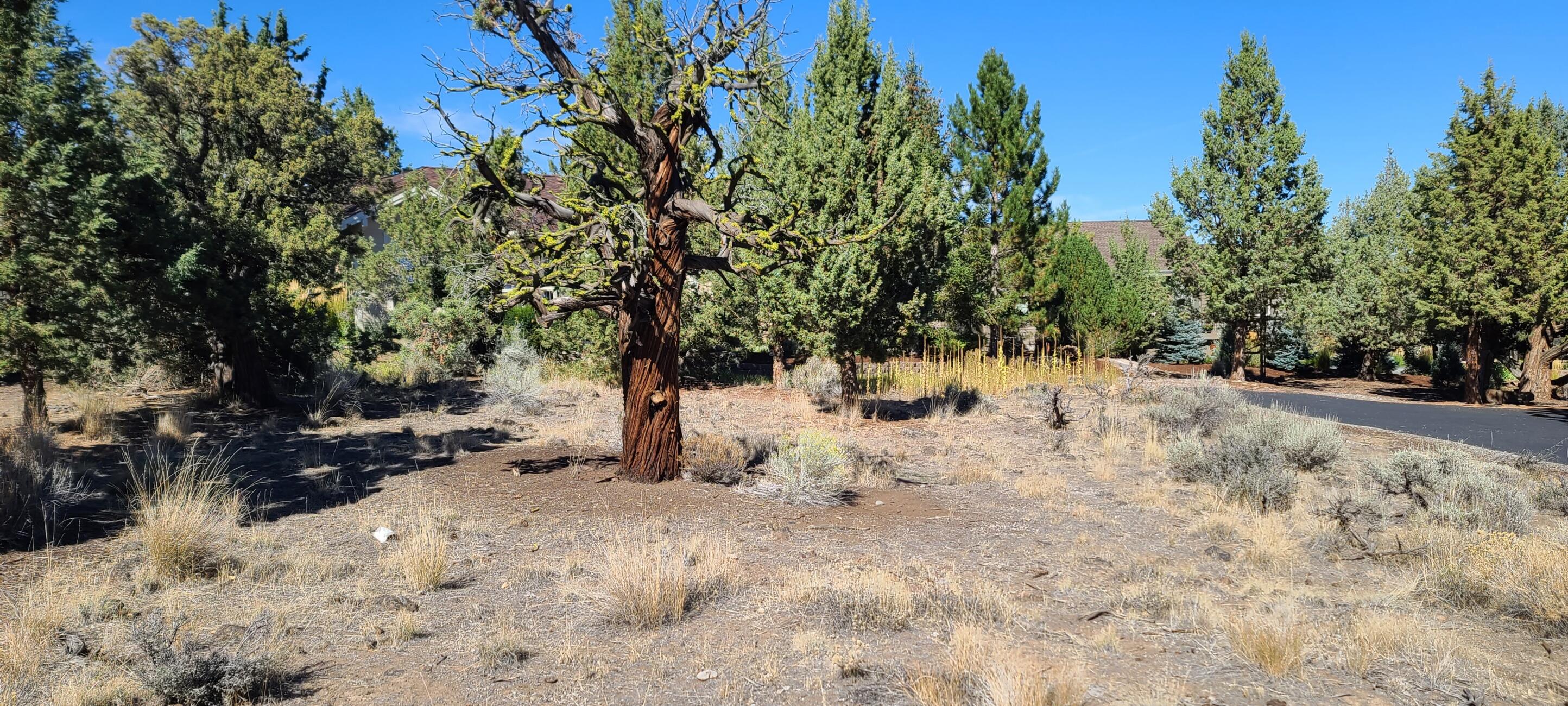 Ridge At Eagle Crest - Land