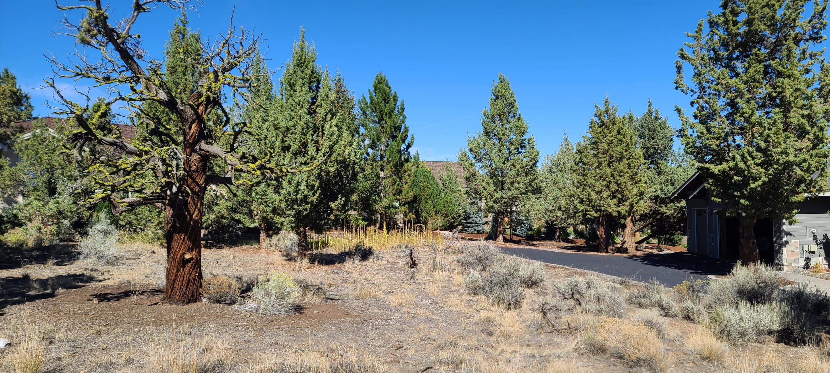 Ridge At Eagle Crest - Land