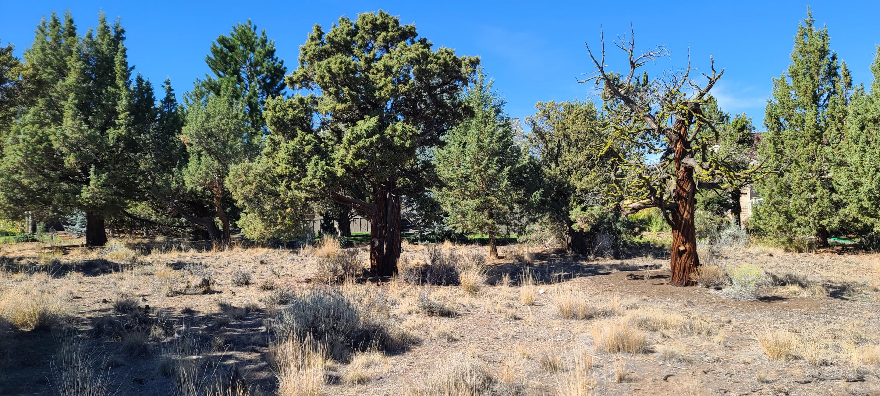 Ridge At Eagle Crest - Land
