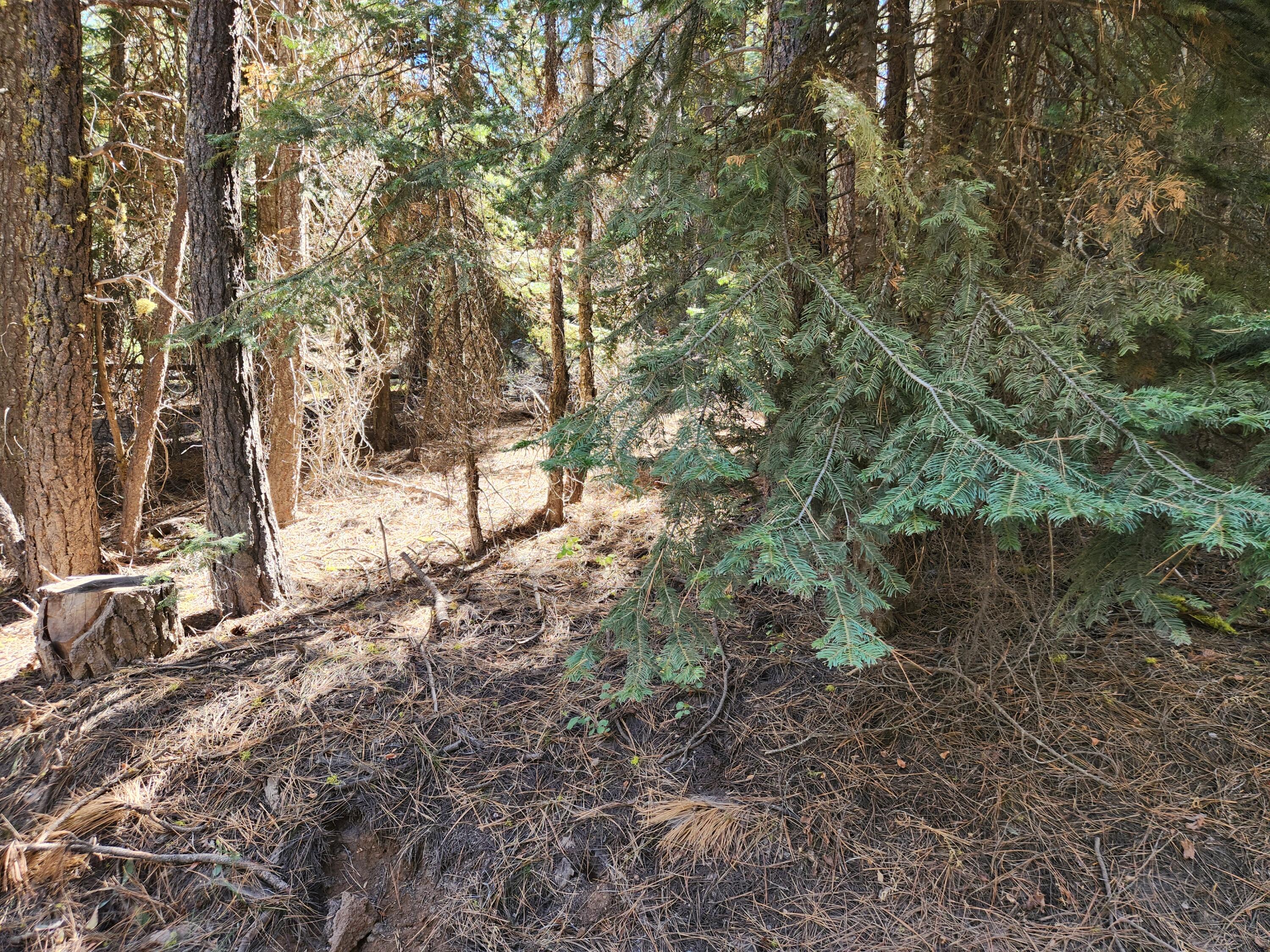 Klamath Forest Estates - Land