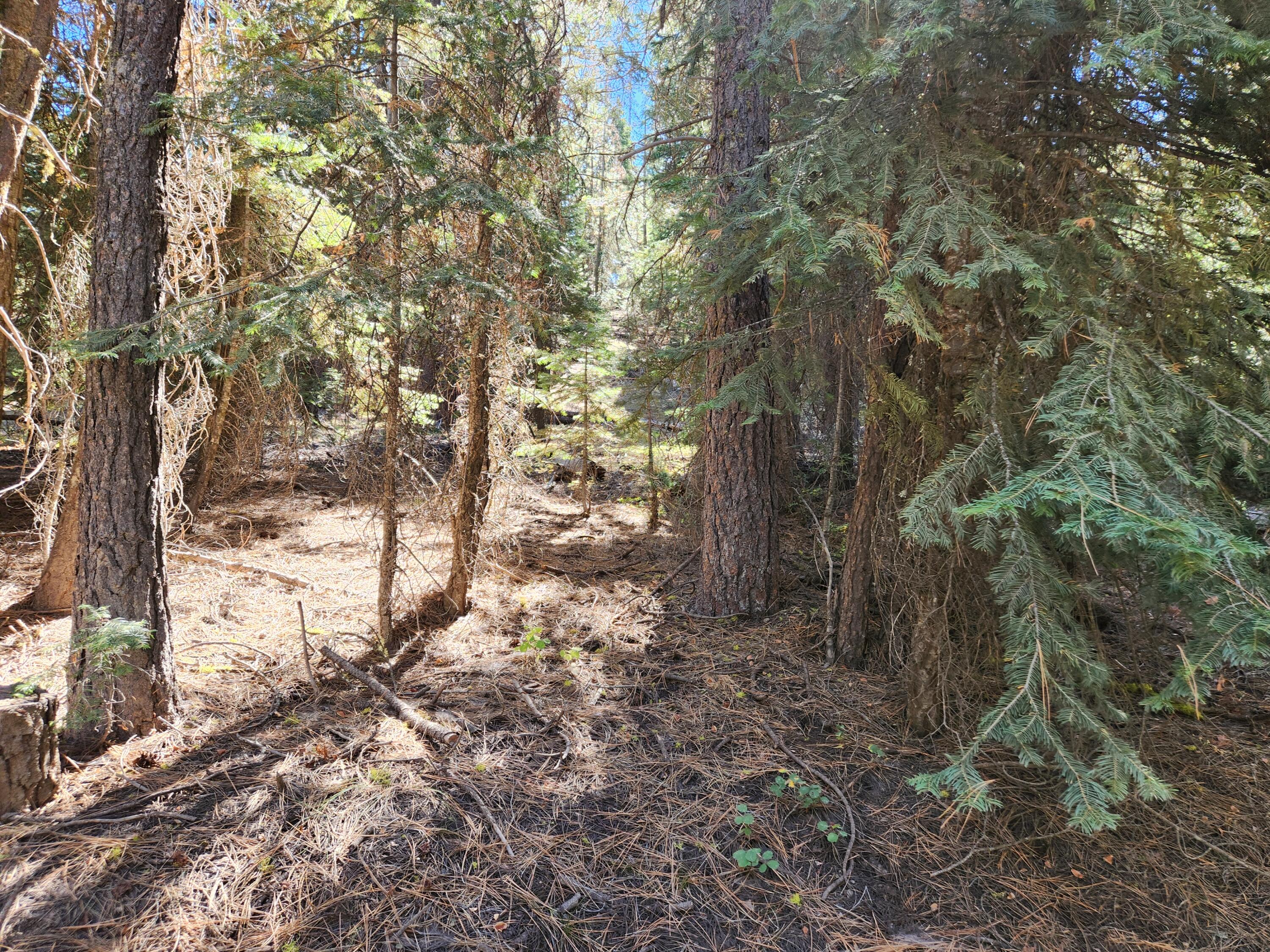 Klamath Forest Estates - Land
