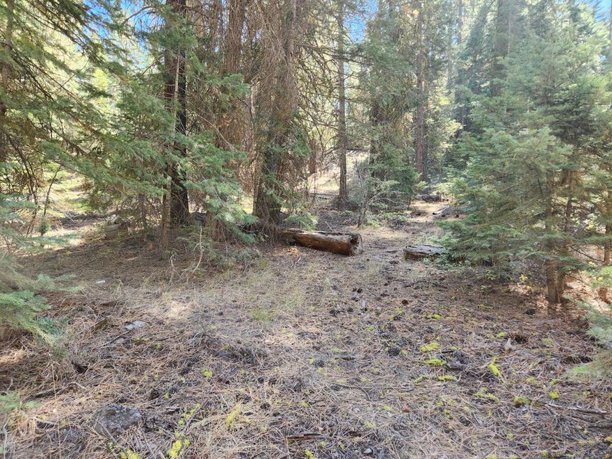 This nice level lot is located in the Klamath Forest Estates on the corner of Sparrow and Kodiak.