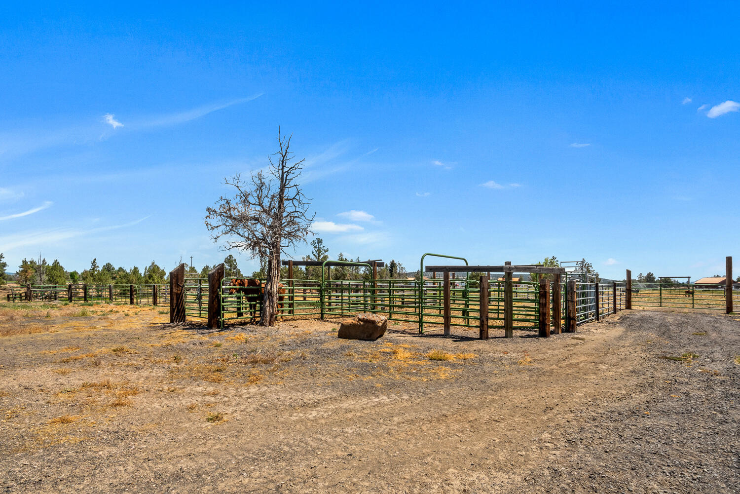 Prineville Ranch - Residential