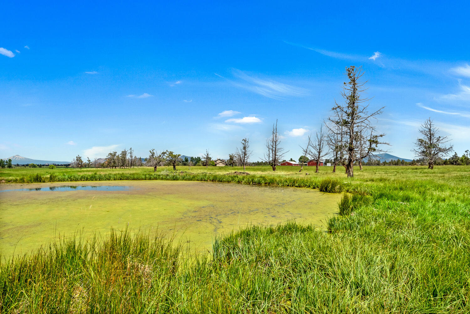 Prineville Ranch - Residential