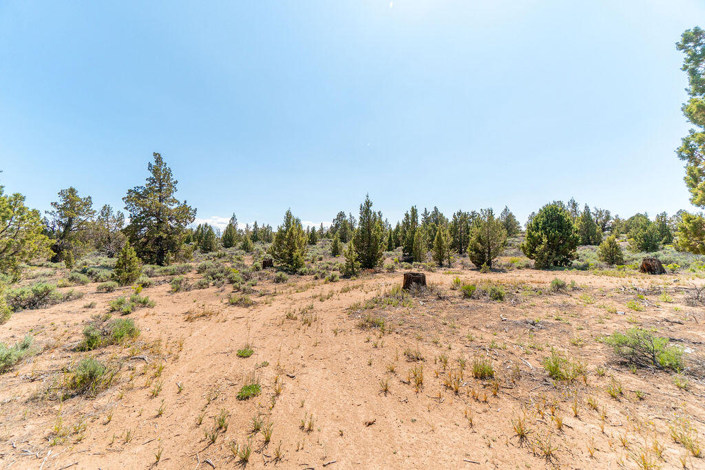 23737 Highway 20