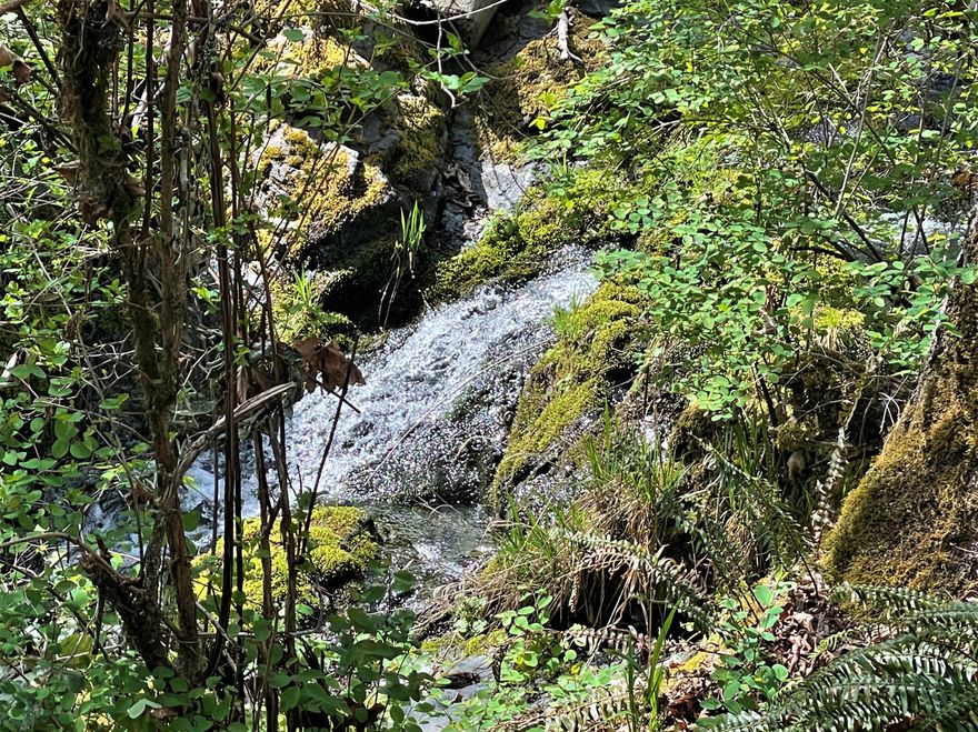 Listen to the nearby waterfall from this quaint cabin considered an accessory to main home. Main home was an older mobile that has been removed. Hughes Gulch runs through the middle of the property creating many private spots to enjoy the serene setting. Domestic water source is from a strong year round spring, w/ water rights. The cabin has its own private entrance, fully deer fenced garden area w/ woodshed & metal roof on cabin installed in 2014. A short trail through the woods takes you to the orchard & RV parking area.  Entrance to main homesite is off of the paved road through gated (large pole) custom fencing. The expansive front pasture has plenty of room for animals & farming w/ south facing slope, has views to the south of nearby mountains. Easy access to the creek from the homesite area. Full RV hookups, septic, water & underground electricity are all in and ready for your custom home. Enjoy the abundance of the mature orchard. Marketable timber. New 200 amp electric panel.