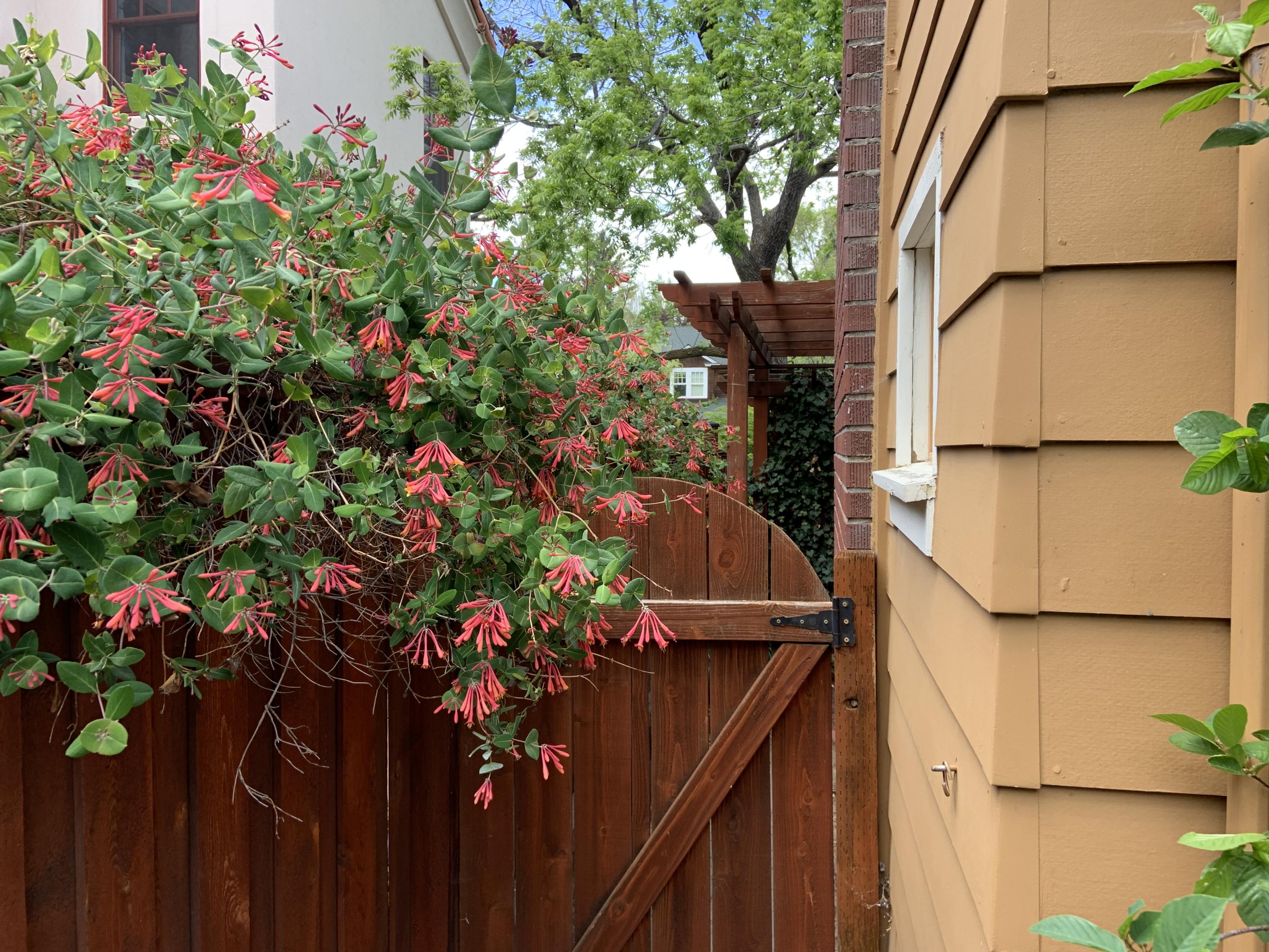 Park Addition - Residential