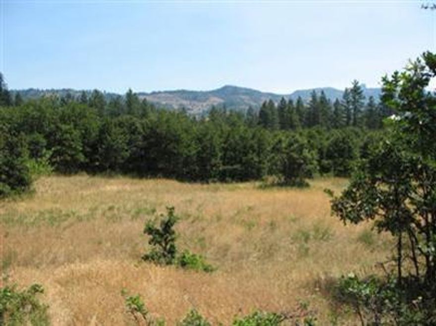 Easy access to flat/ gently rolling mountain acreage in area of limited private property; backed by BLM forest land; permit to use year round spring; tall cedars, pines, garden area, pasture; driveway, electric, phone and rough pad in; two other bldg sites; all ideal for active/passive solar; approval for standard septic system on file with county; Seasonal creek, meadow, view of Pilot Rock, slight view of Mt. Shasta; 20 min. to Ashland, 10 min to Mt.Ashland Ski Lodge, 45 min. to Shasta, 5 min to Tashi Choling Buddhist Center and Temple; 3 min. to rural fire station; Creative owner financing.