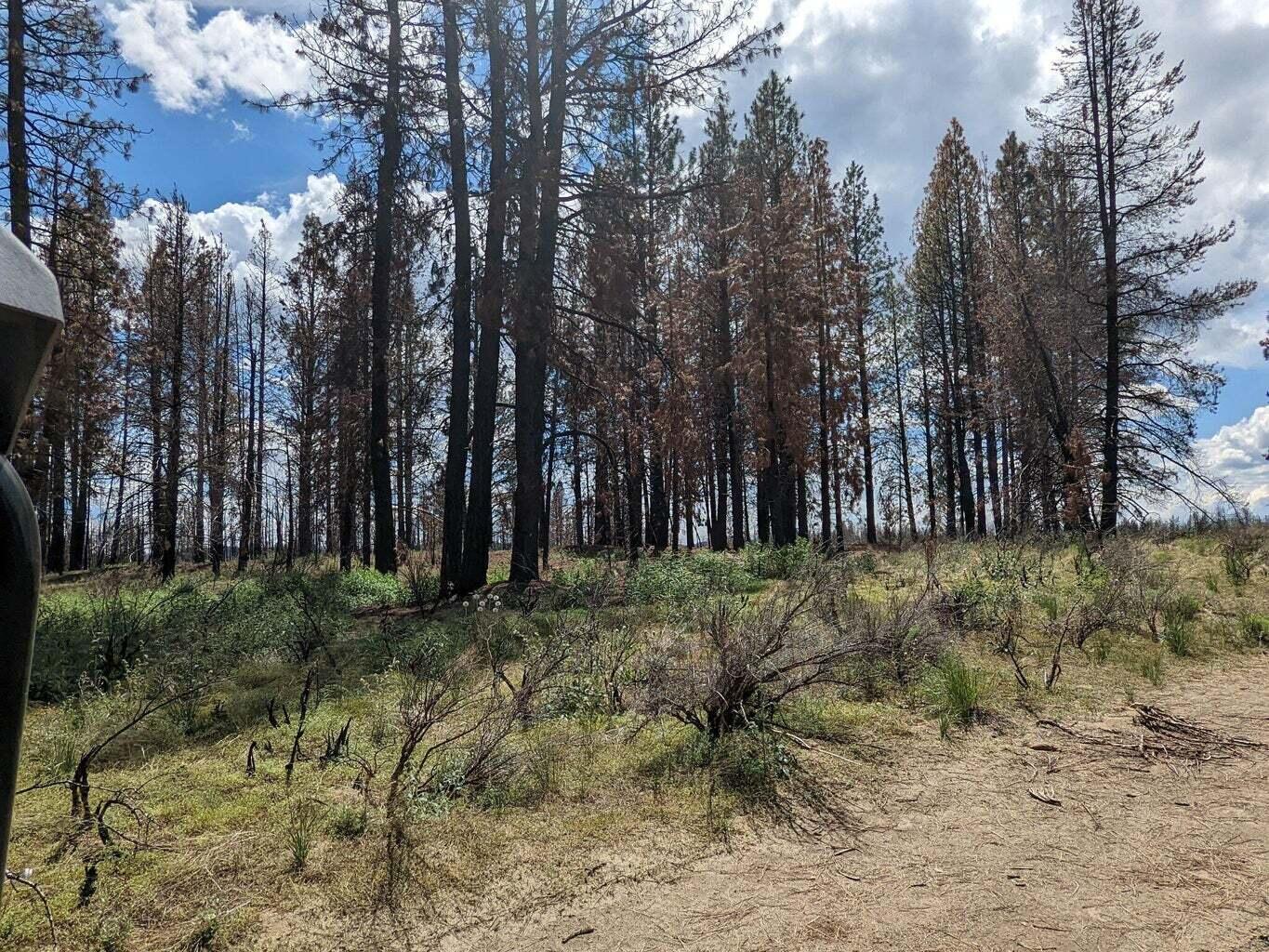 Klamath Falls Forest Estates -Hwy 66 Unit -Plat No. 1 - Land