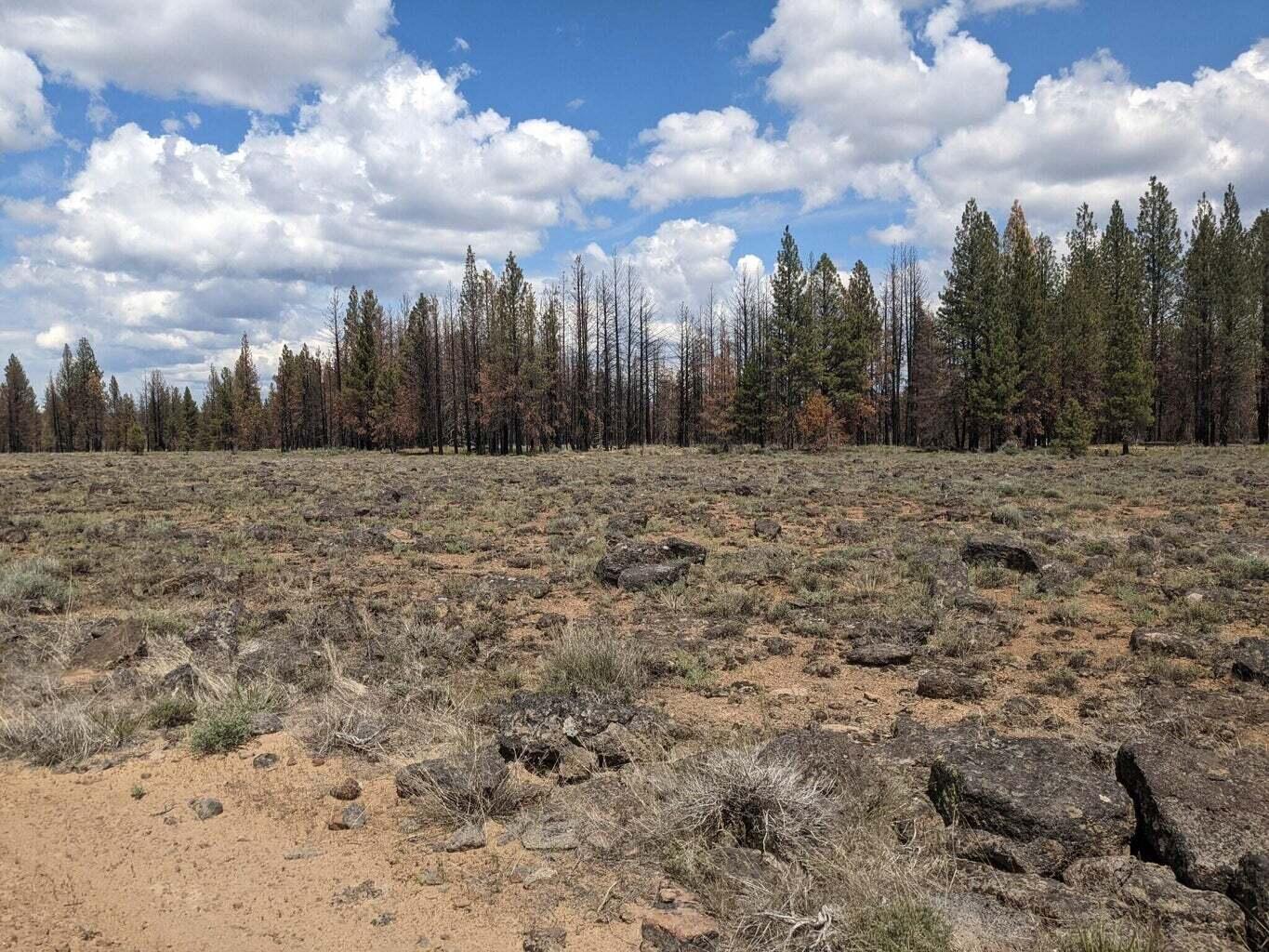 Klamath Falls Forest Estates -Hwy 66 Unit -Plat No. 1 - Land