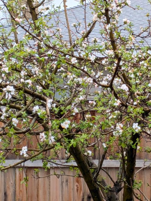 Tiny photo for 733 SE Turner Street, Madras, OR 97741 (MLS # 220220075)