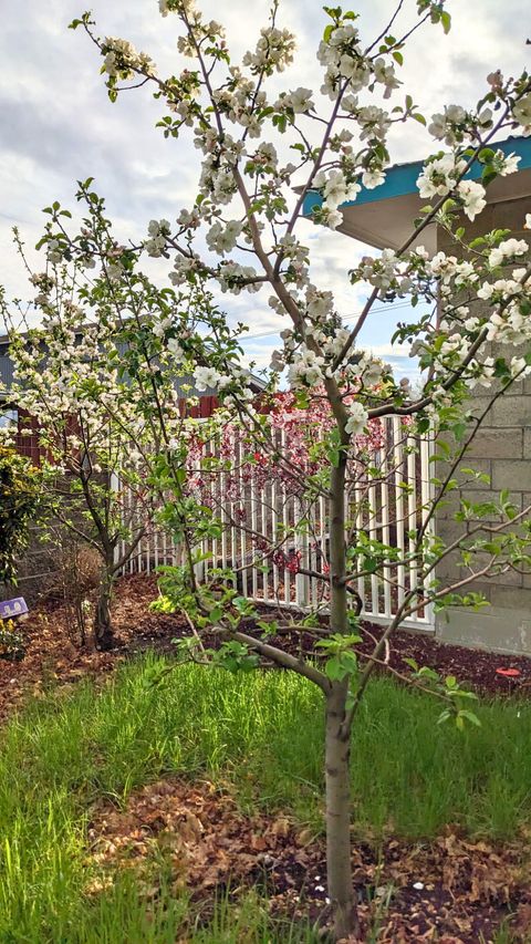 Tiny photo for 733 SE Turner Street, Madras, OR 97741 (MLS # 220220075)
