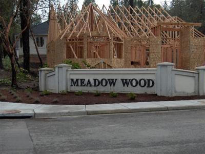 Meadow Wood - Land
