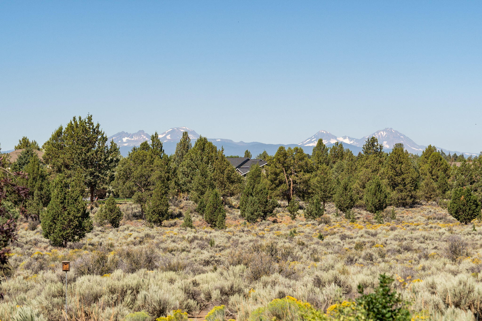 Lane Knolls - Residential