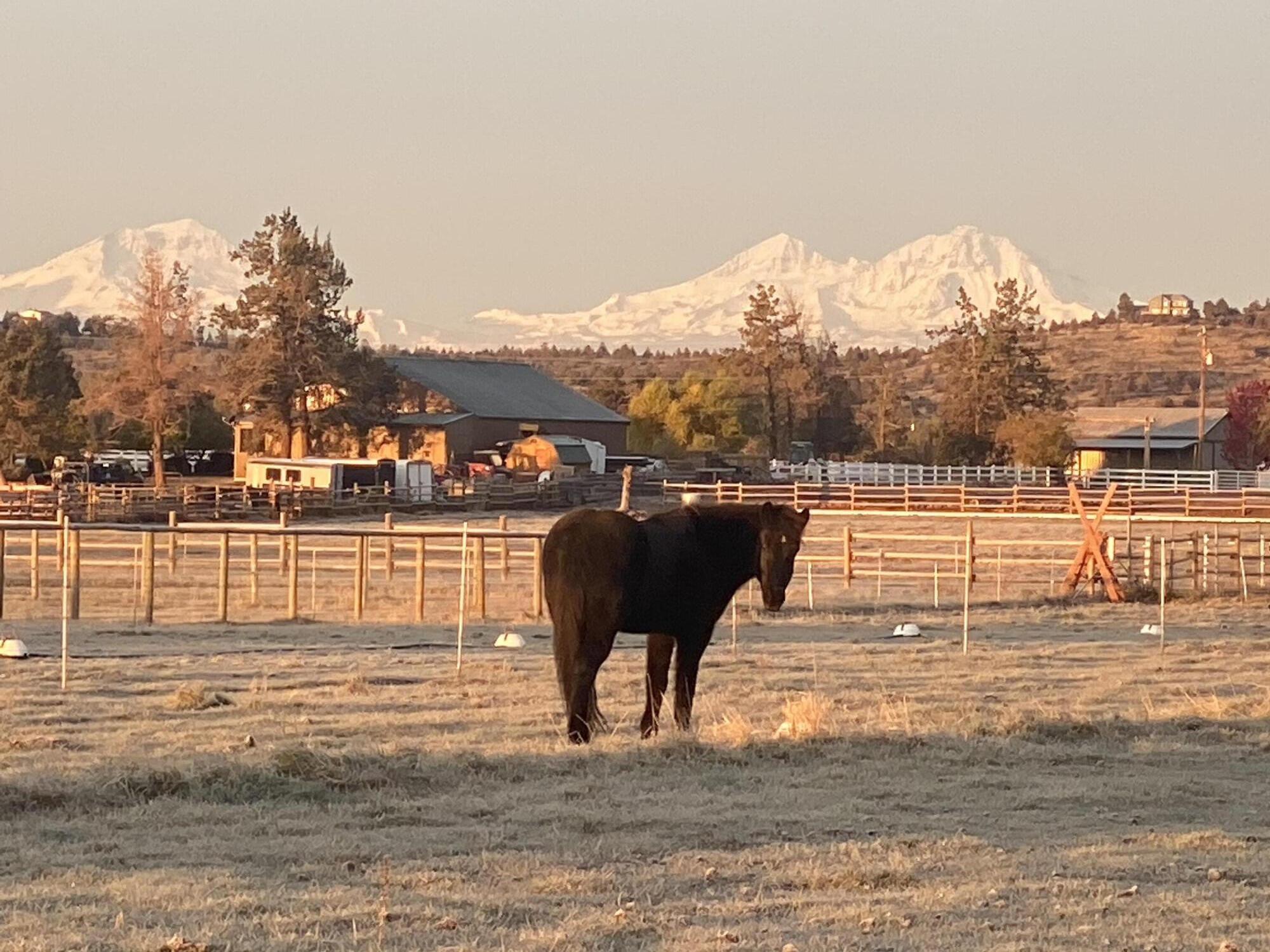 Equestrian Meadows - Residential