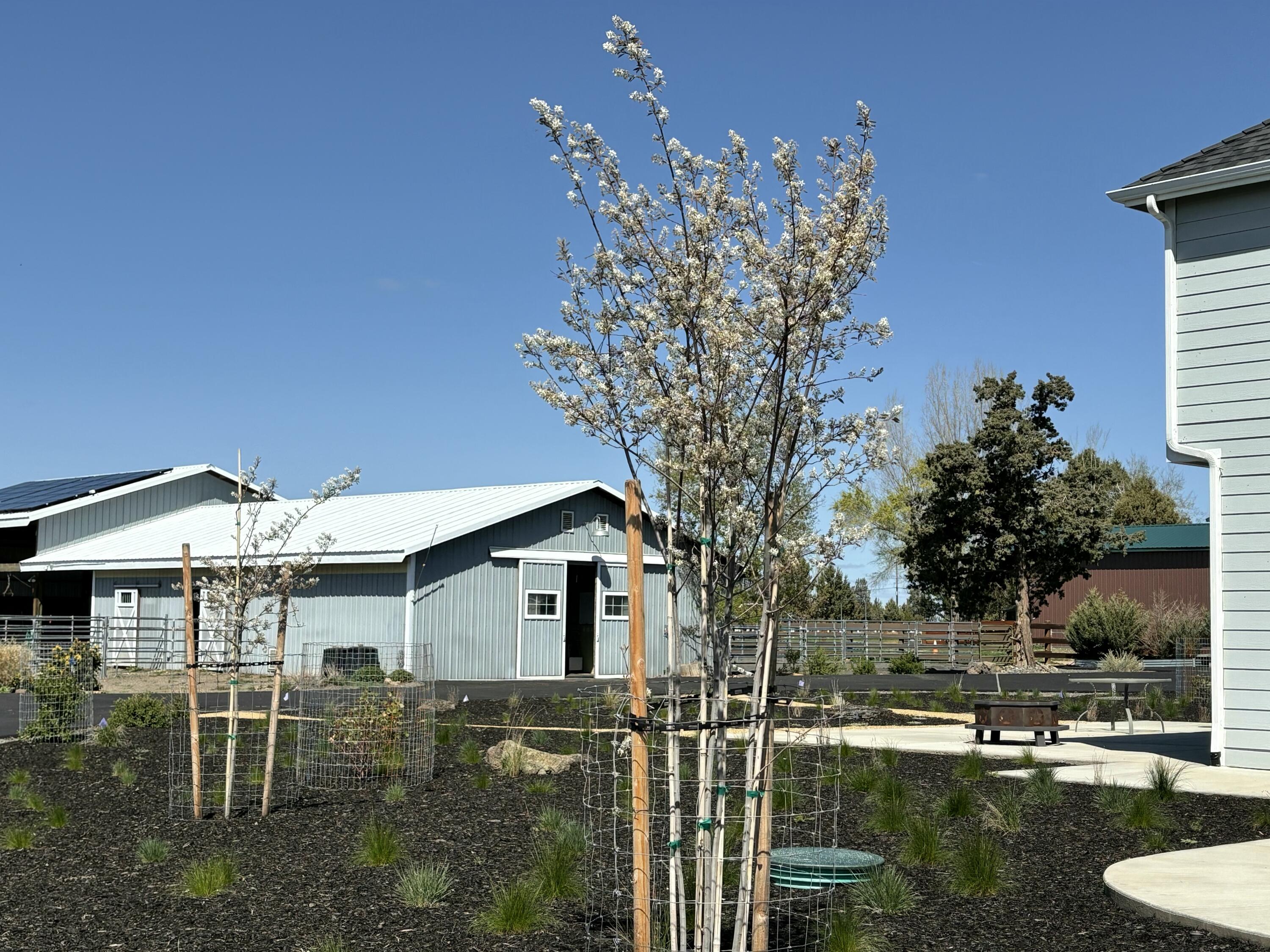 Equestrian Meadows - Residential