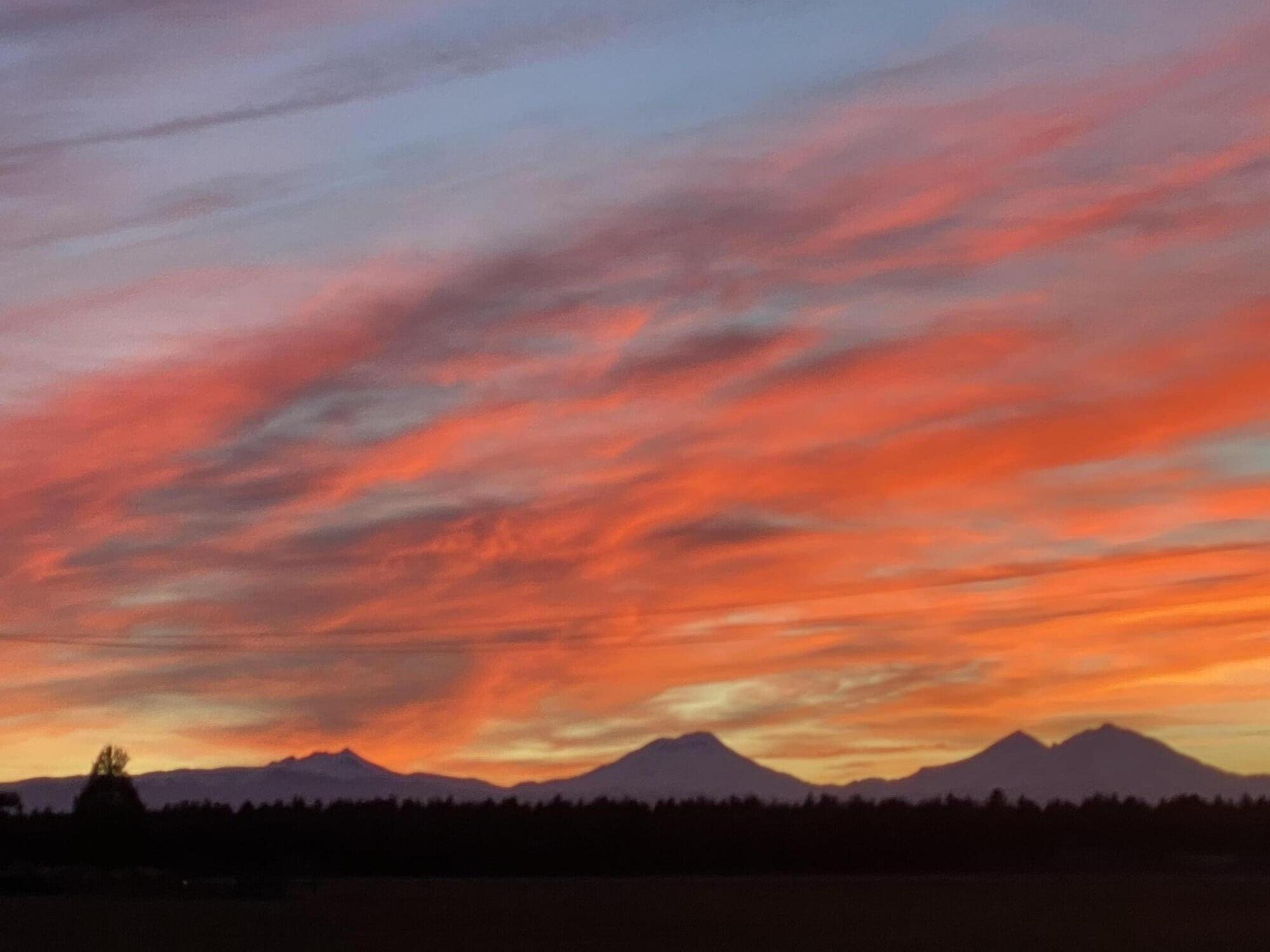 Equestrian Meadows - Residential