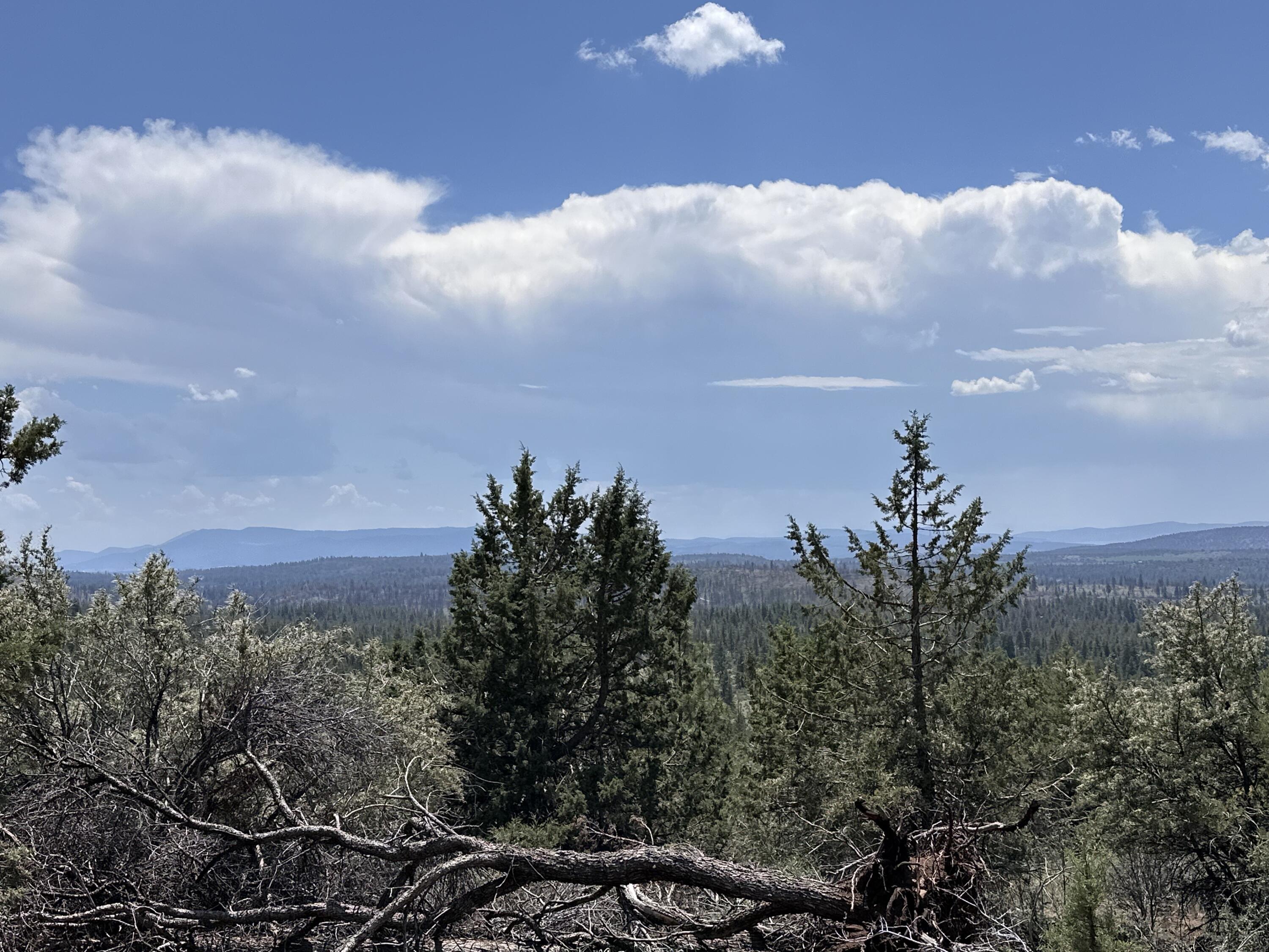 Klamath Falls Forest Estates Hwy 66 Unit Plat 4 - Land