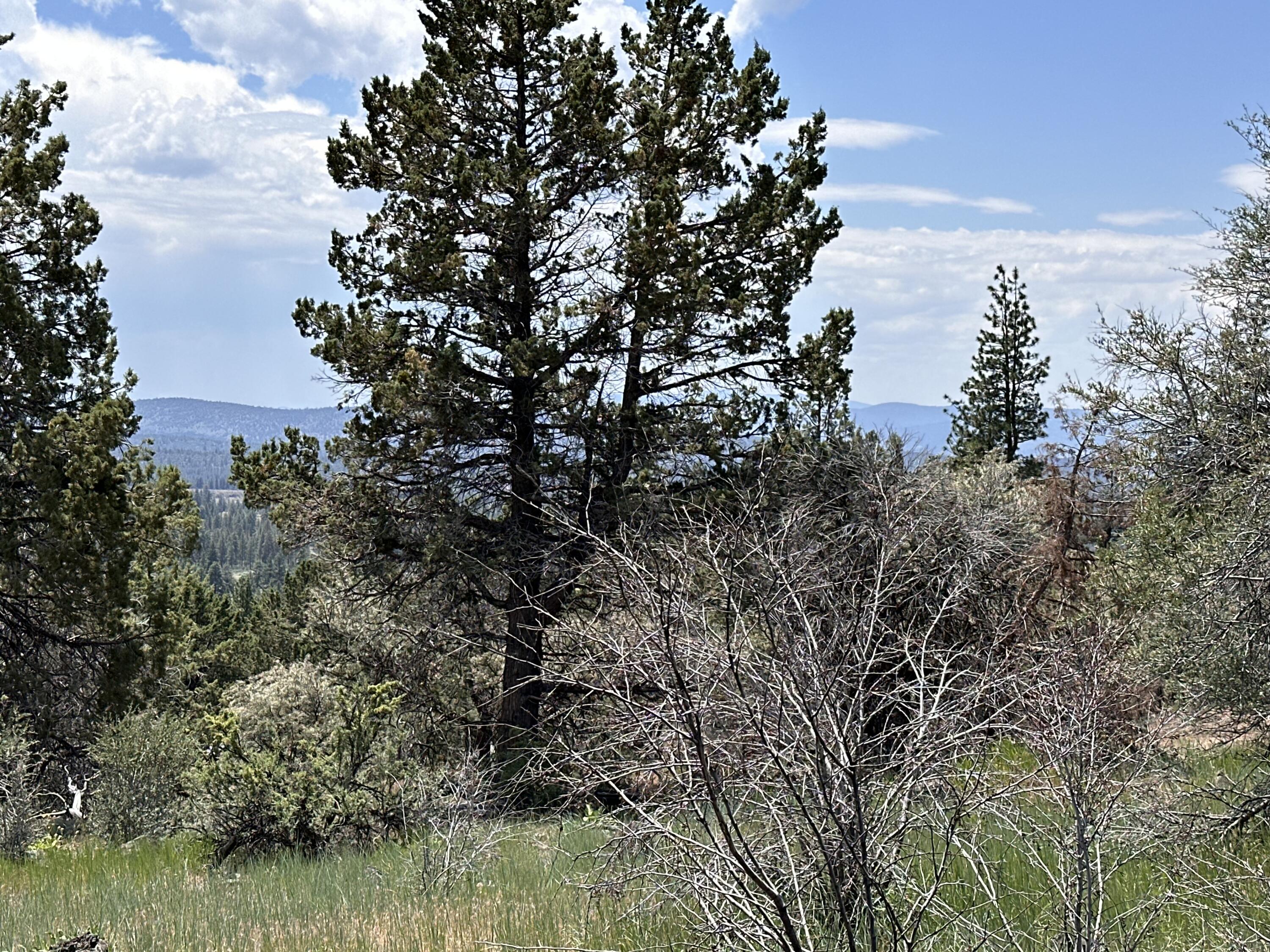 Klamath Falls Forest Estates Hwy 66 Unit Plat 4 - Land