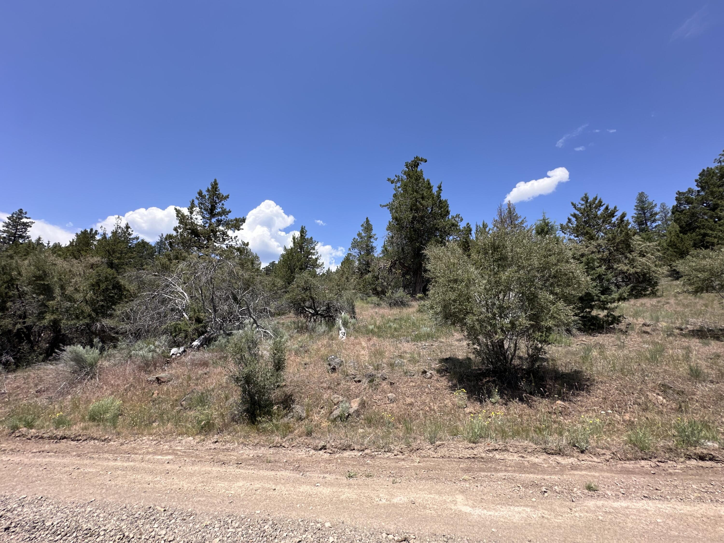 Klamath Falls Forest Estates Hwy 66 Unit Plat 4 - Land