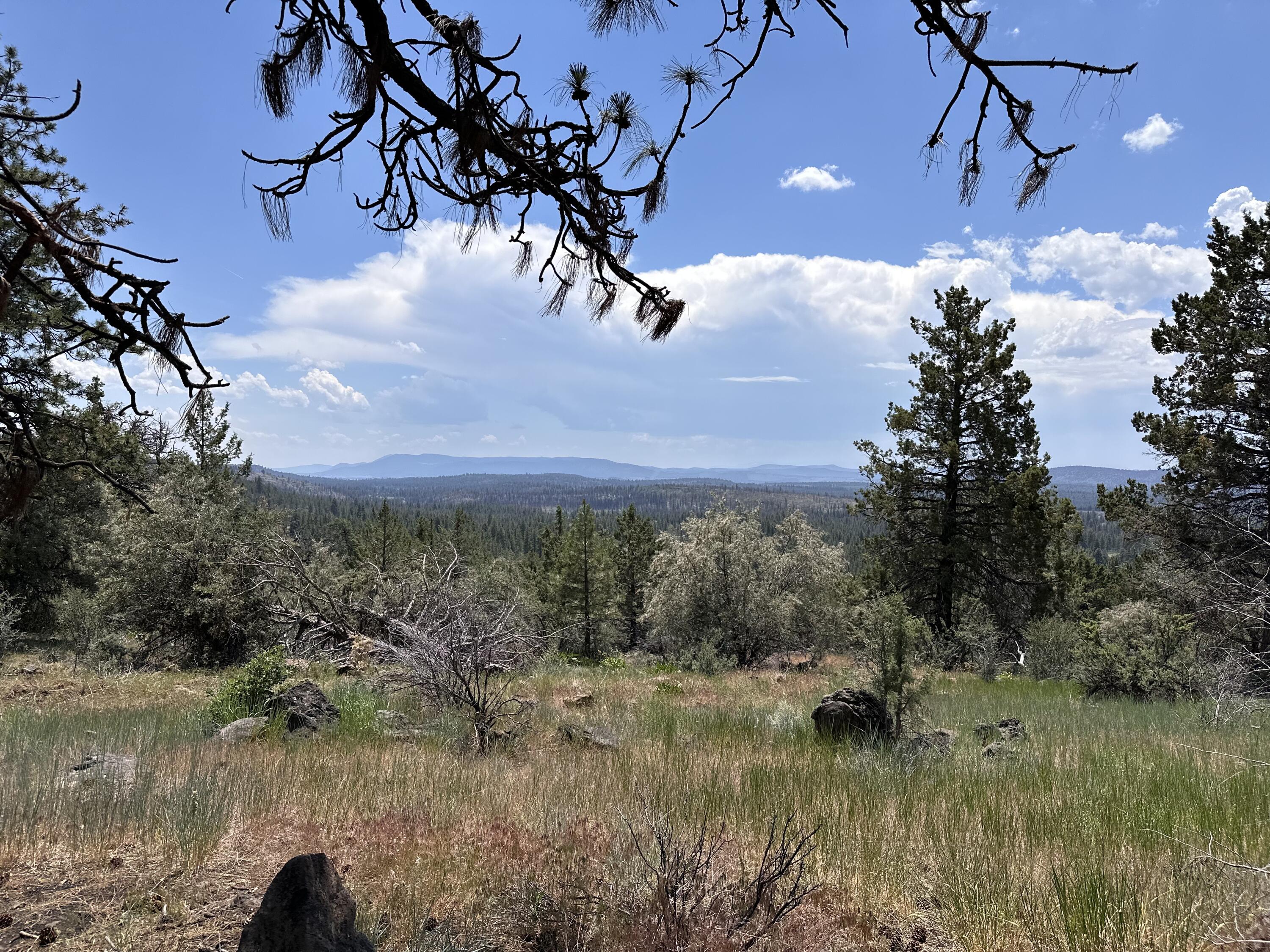 Klamath Falls Forest Estates Hwy 66 Unit Plat 4 - Land