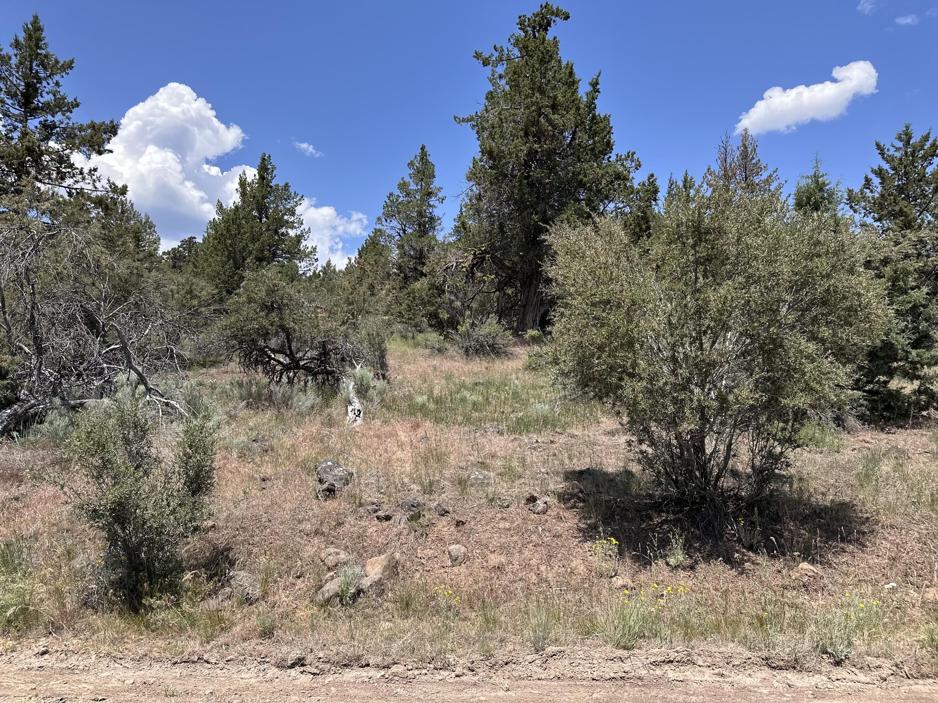Klamath Falls Forest Estates Hwy 66 Unit Plat 4 - Land