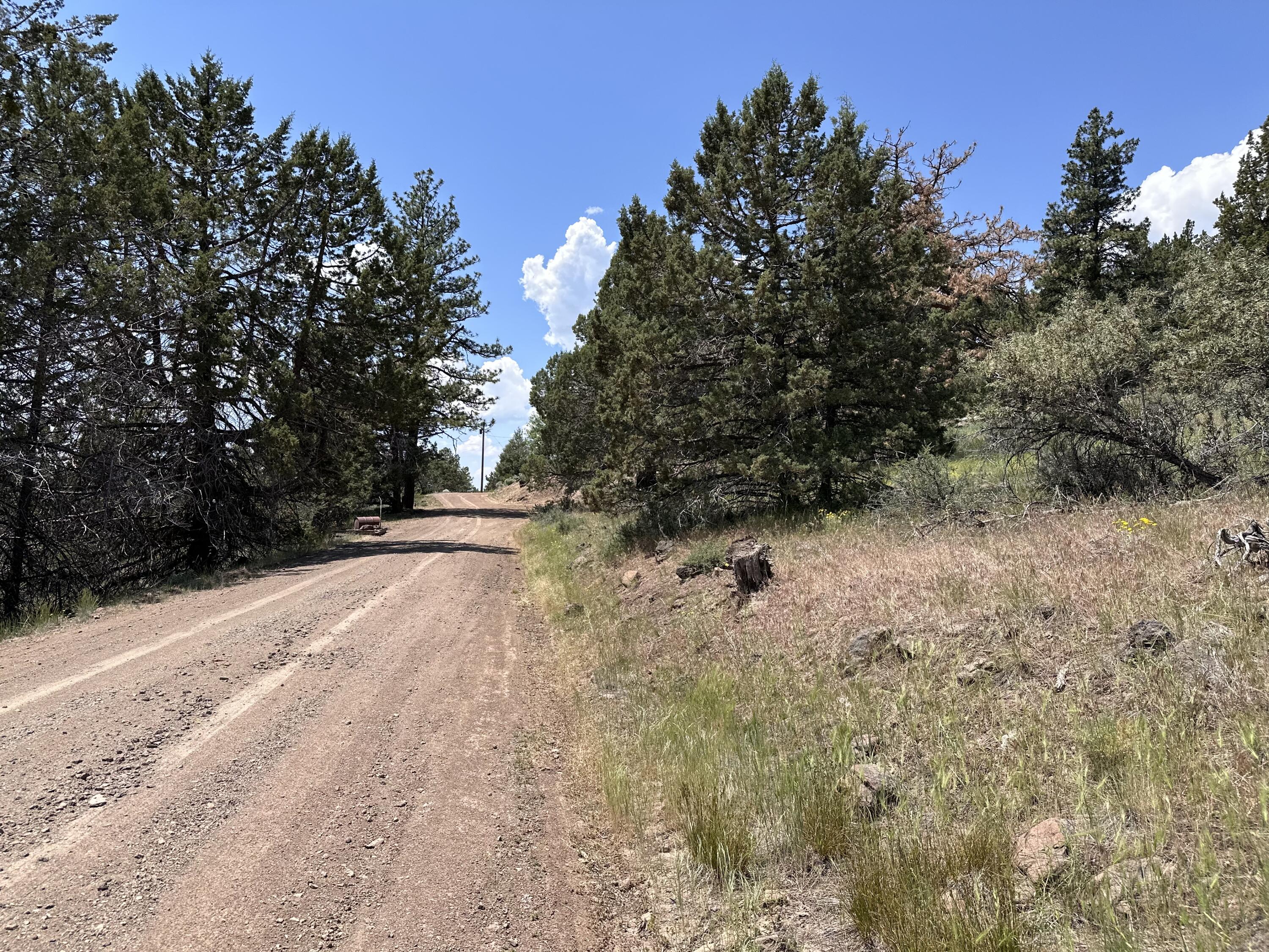 Klamath Falls Forest Estates Hwy 66 Unit Plat 4 - Land