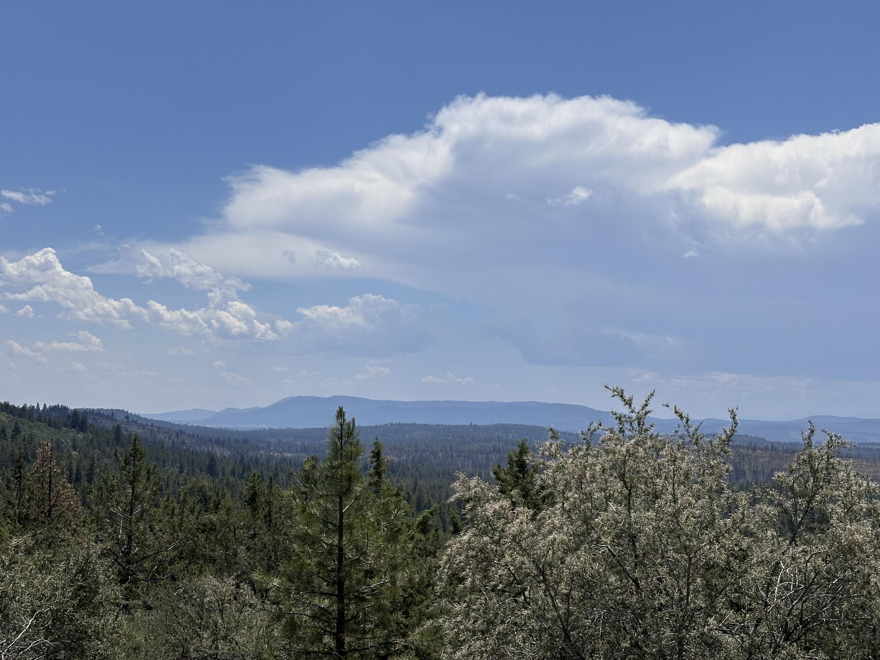 Klamath Falls Forest Estates Hwy 66 Unit Plat 4 - Land