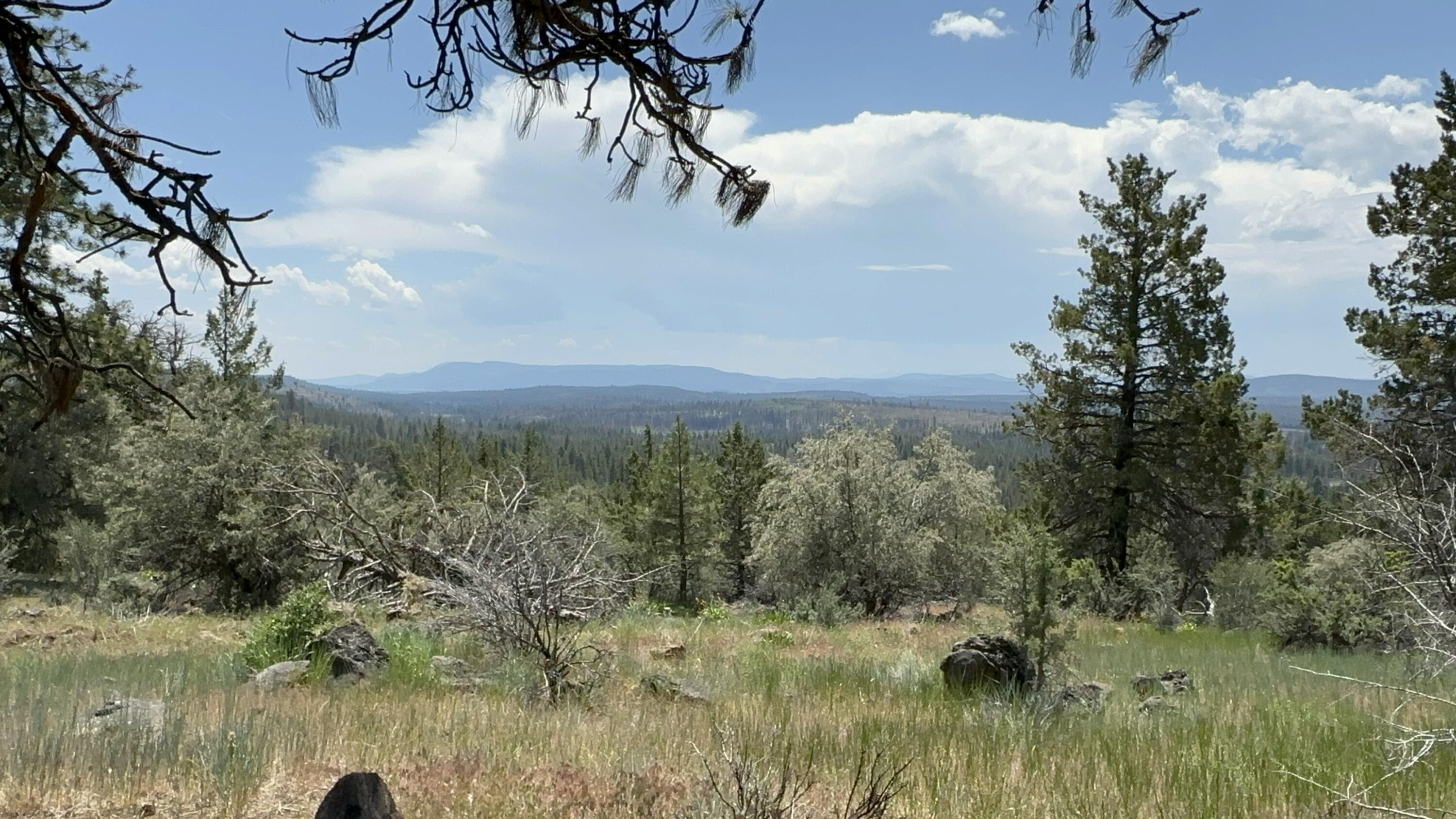 Klamath Falls Forest Estates Hwy 66 Unit Plat 4 - Land