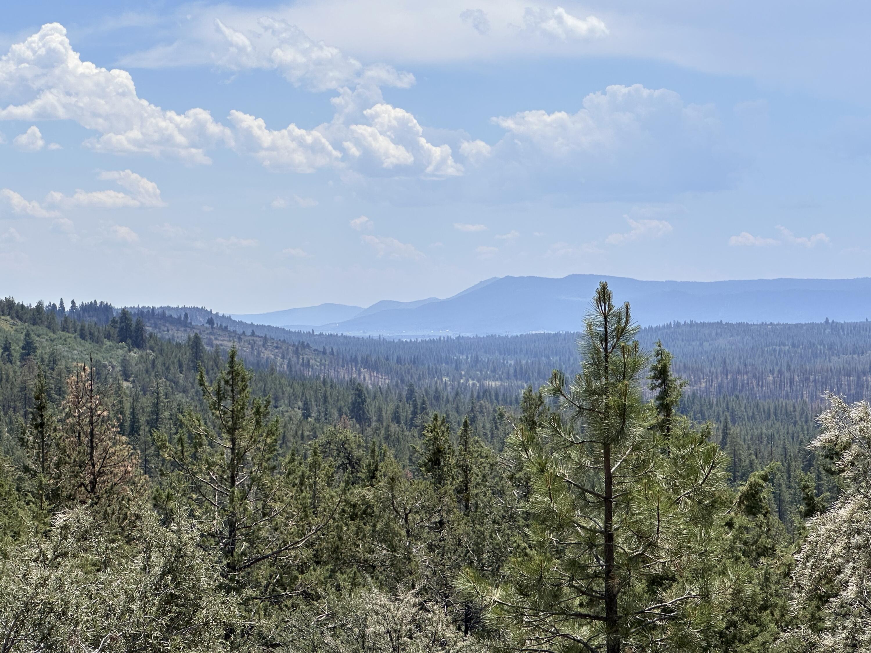 Klamath Falls Forest Estates Hwy 66 Unit Plat 4 - Land