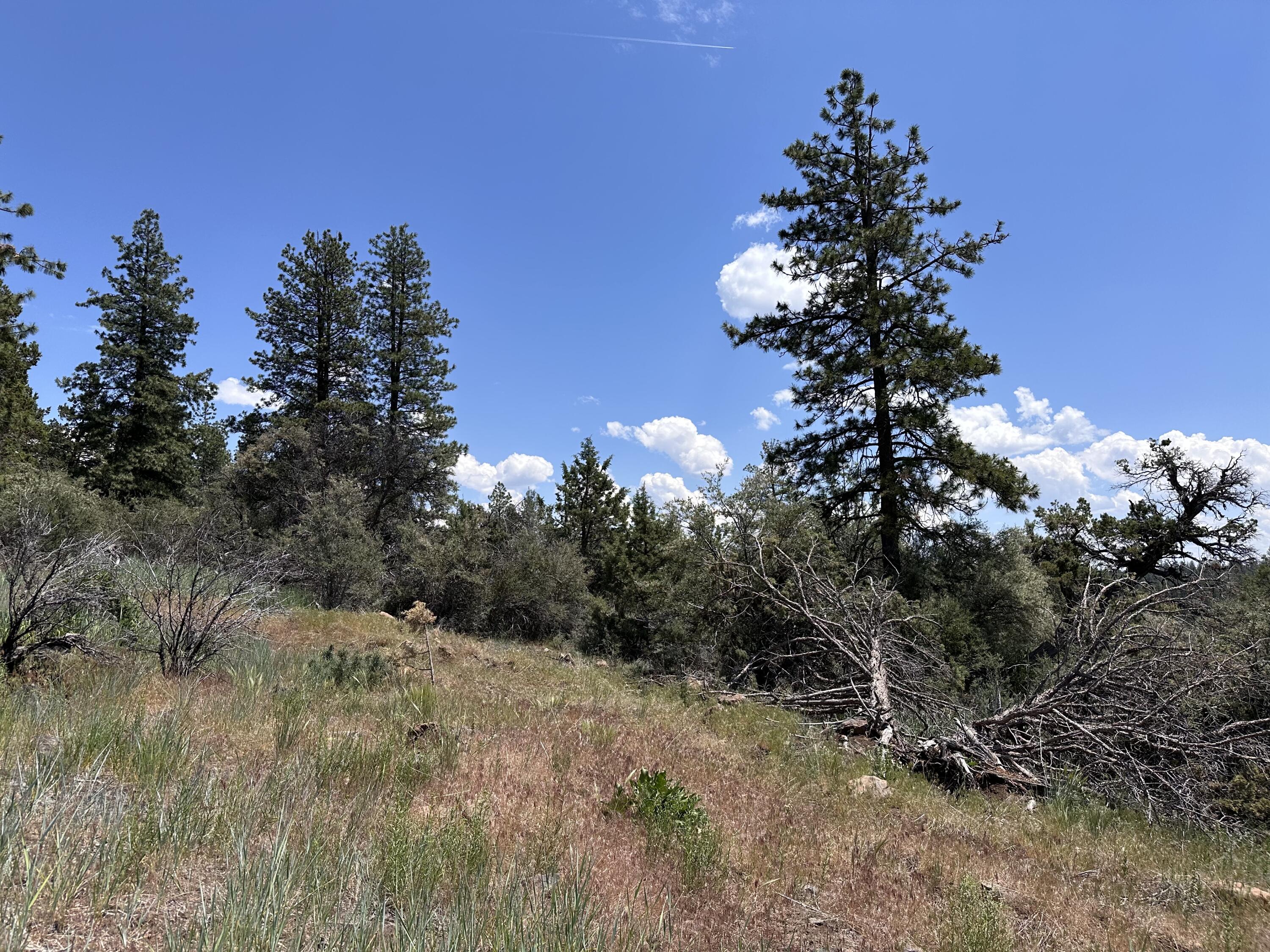 Klamath Falls Forest Estates Hwy 66 Unit Plat 4 - Land