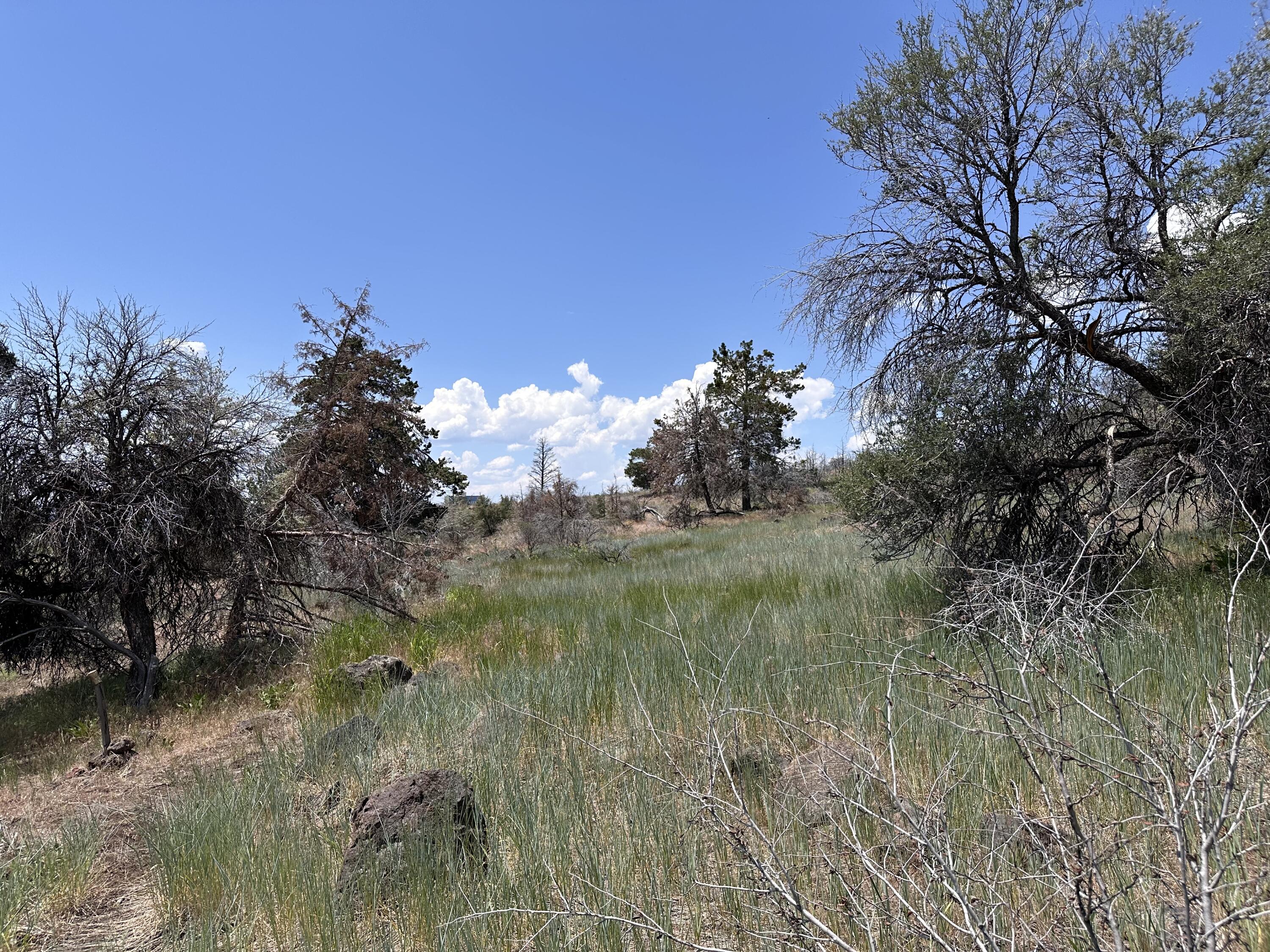 Klamath Falls Forest Estates Hwy 66 Unit Plat 4 - Land