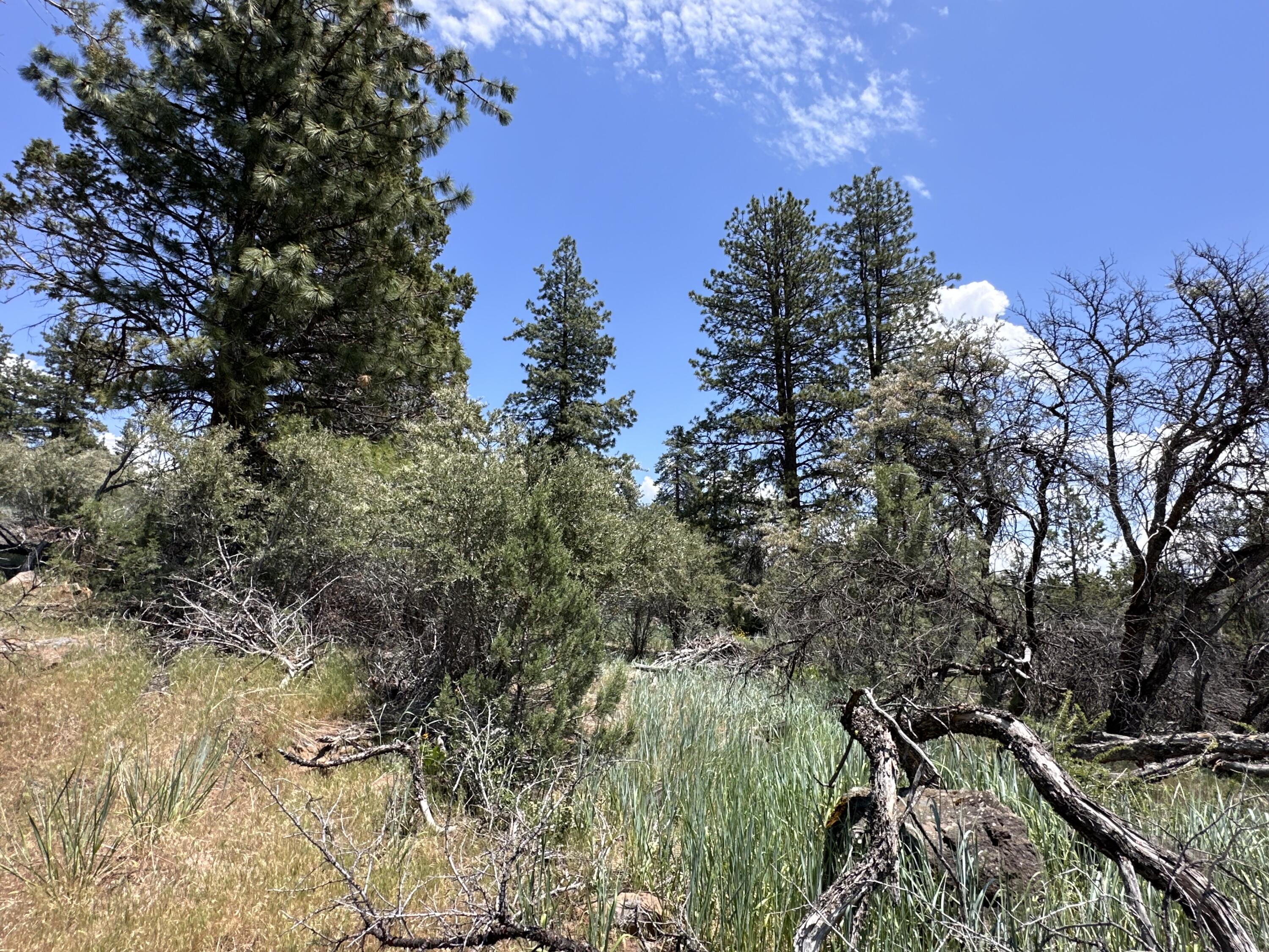 Klamath Falls Forest Estates Hwy 66 Unit Plat 4 - Land