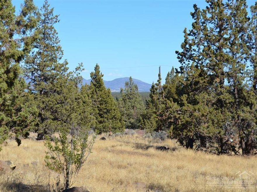 This 2.5 acres is offered together or separate with the 2.6 acre lot next door. Each lot is priced at $99,000. Discount if both purchased together. Tax Lot 1600 with community water, septic & electricity installed. Tax Lot 1700 with community water line trenched to it, along with a push-out & gravel for a home & separate shop. Buyer of TL 1700 will have to pay the additional hookup fee for the water. Incredible views & beautiful trees are waiting on these parcels for you to build.