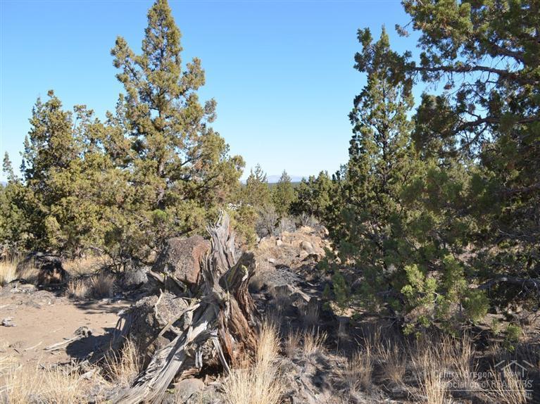 Whispering Pines - Land