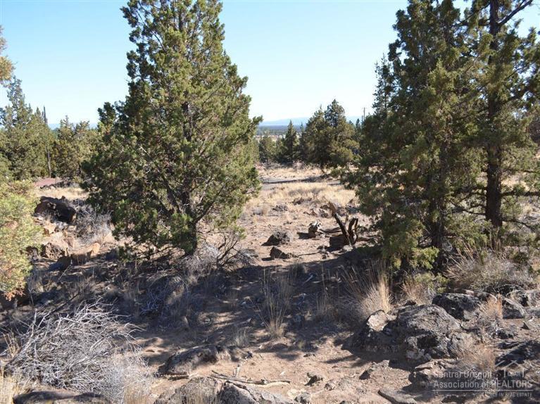 Whispering Pines - Land