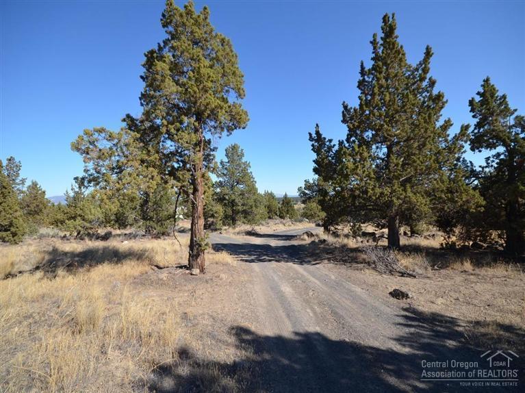 Whispering Pines - Land