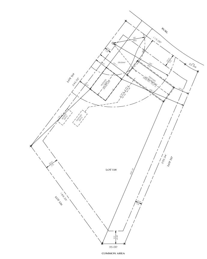 Ponderosa Pines - Land