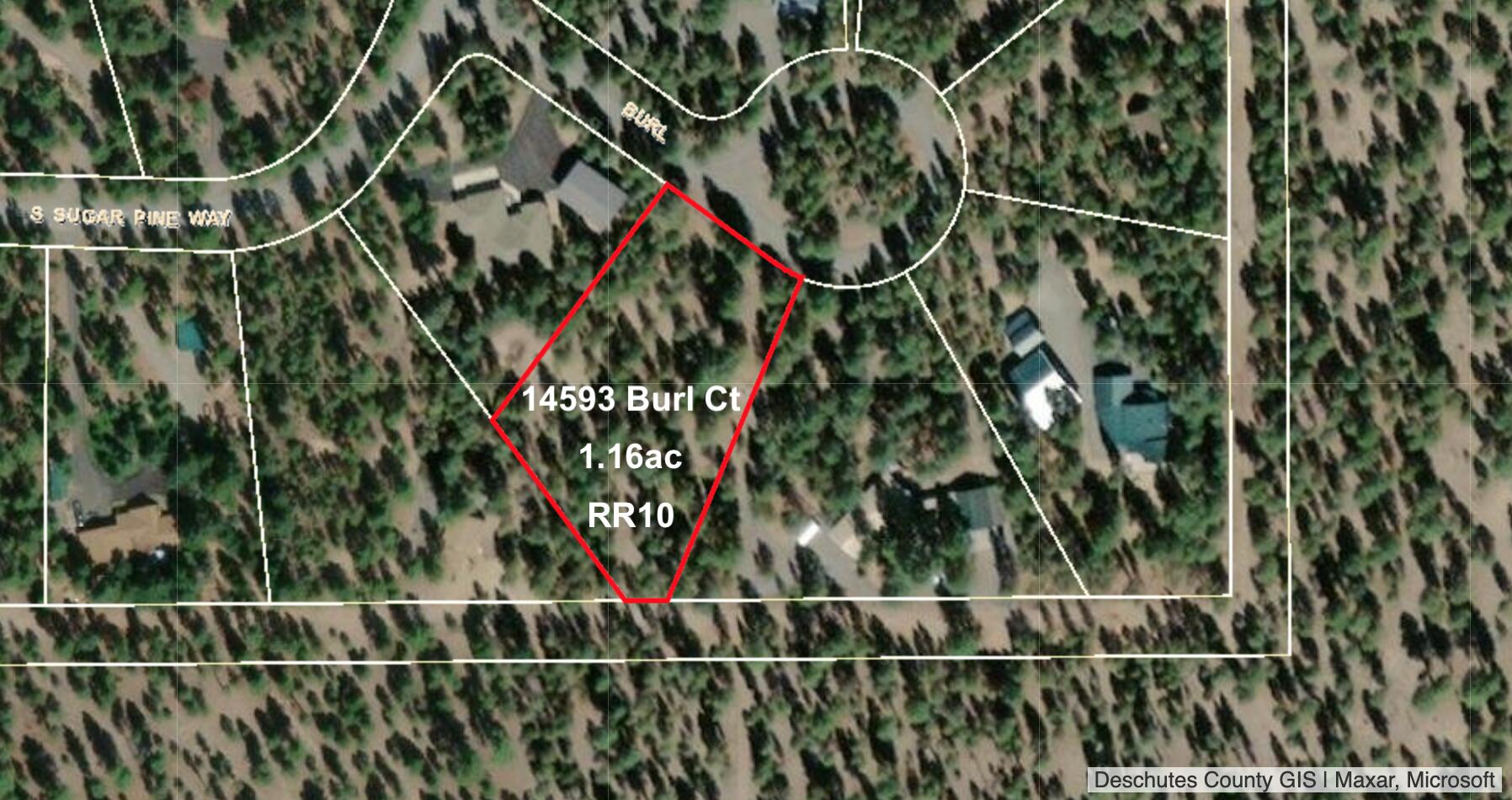 Ponderosa Pines - Land