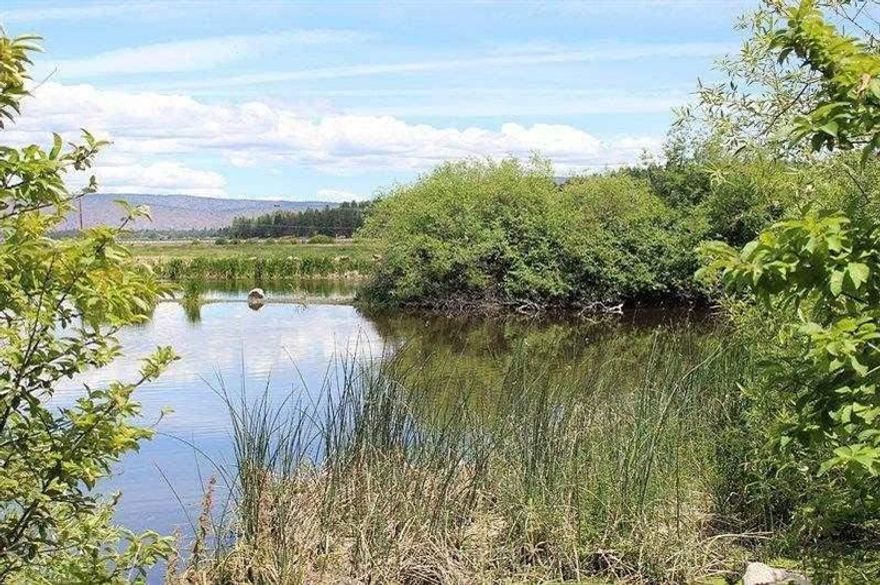 Located 12 Miles Nw Of Kf And 65 Miles E Of Medford, Oregon, The 2,841+/- West Klamath Ranch Extends North From Porter Butte Across A Forested Plateau Overlooking Beautiful Upper Klamath Lake. A Lush Valley In The Center Of The Property Encompasses Bear Wallow, A 40-acre Meadow Rimmed By Aspen And Pine, And Full Of Wildlife. Aspen Lake Road Traverses The Property And Connects With Highway 140 Providing Year Round Access. Largely Forested, The Ranch Features A Long Term Timber Asset.The Timber Consists Of Pine, Fir And Cedar, With Approx. Half Of The Property Encompassing Well-stocked Pine Plantation. The Ranch Offers Good Hunting For Deer And Elk And Is Eligible For Four Landowner Preference Tags. The Well-known Running Y Resort And Its Arnold Palmer Designed 18-hole Golf Course Are Minutes Away. The Views North Across Upper Klamath Lake And East Toward Klamath Falls Are Spectacular. West Klamath Represents A Compelling Opportunity To Own A Large Undeveloped Property Close To To