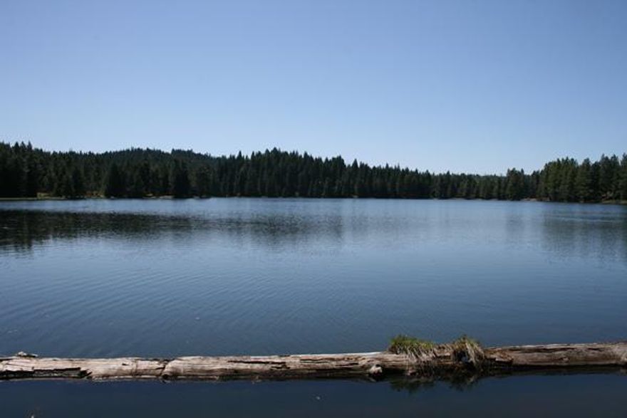 Medco Ponds, a rare opportunity to own 676 acres of nicely forested property with a spectacular 64 acre pond. Outdoor activities abound in this park-like setting. Own it as a timber investment, recreational retreat, or as a home site. Truly, this property offers a combination of opportunities for future income and enjoyment. Access is convenient to this property and to the many nearby recreational destinations of Southern Oregon. Don't miss this chance to own a very special Oregon property.